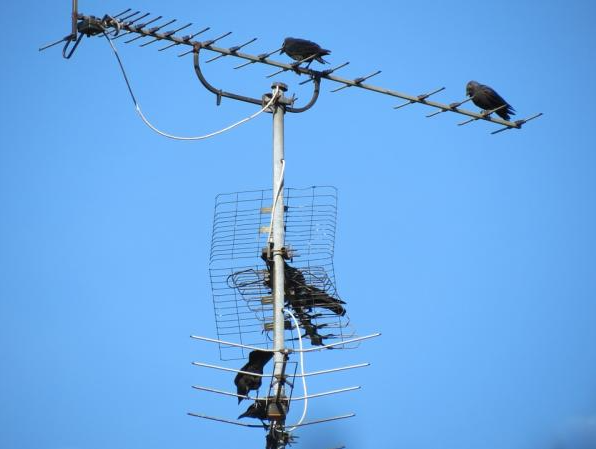 Reception problems and antenna installation guide